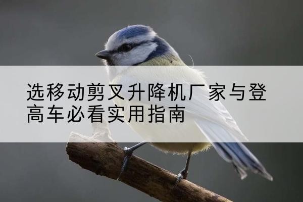 兰西电动升降机厂家-选移动剪叉升降机厂家与登高车必看实用指南