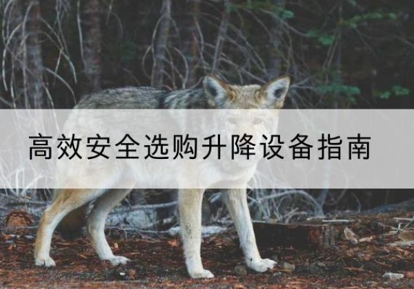 兰西升降货梯厂家推荐-*安全选购升降设备指南